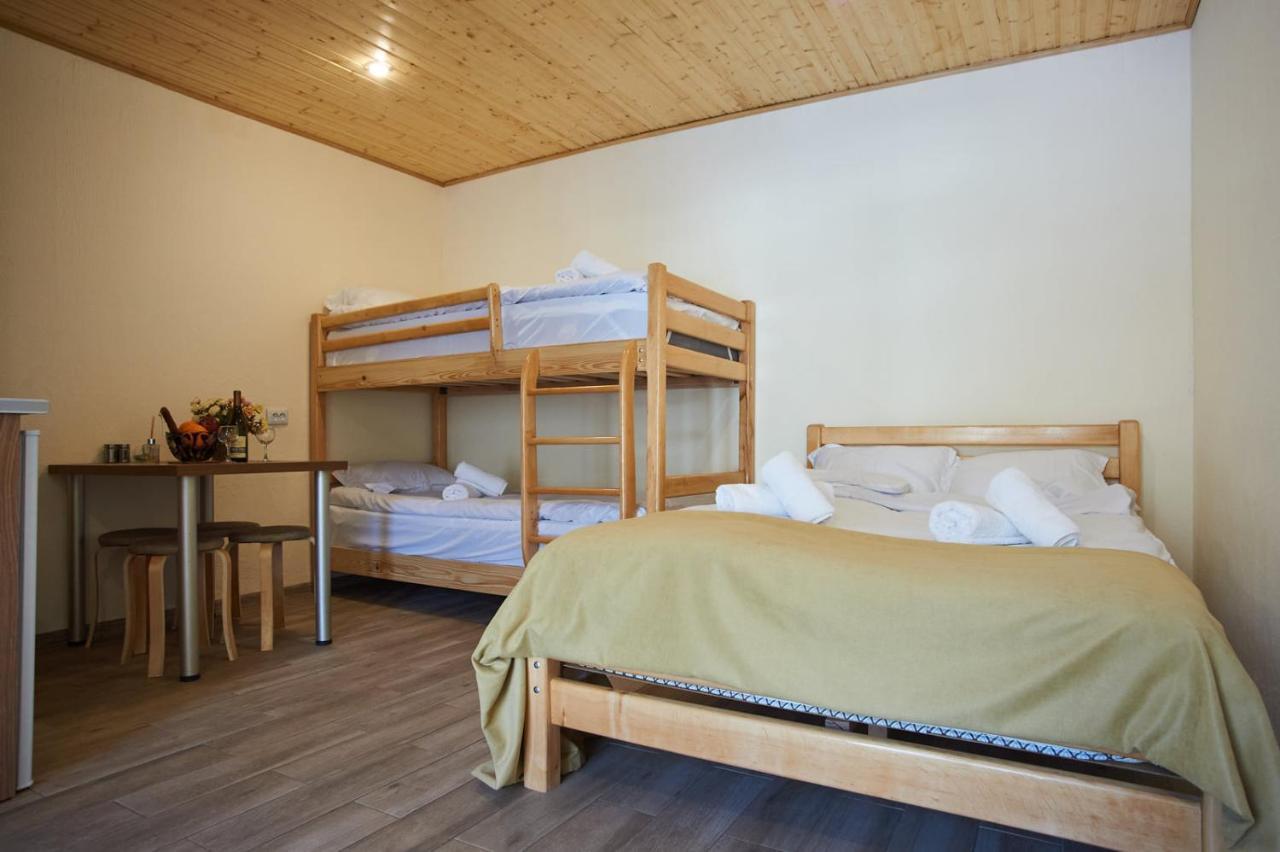 Hotel Tornisa Kazbegi エクステリア 写真
